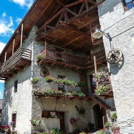 Agriturismo Barba Gust Cesana Torinese Luaran gambar