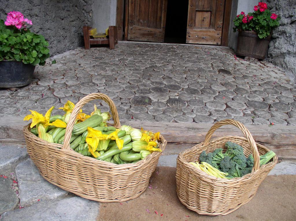 Agriturismo Barba Gust Cesana Torinese Luaran gambar