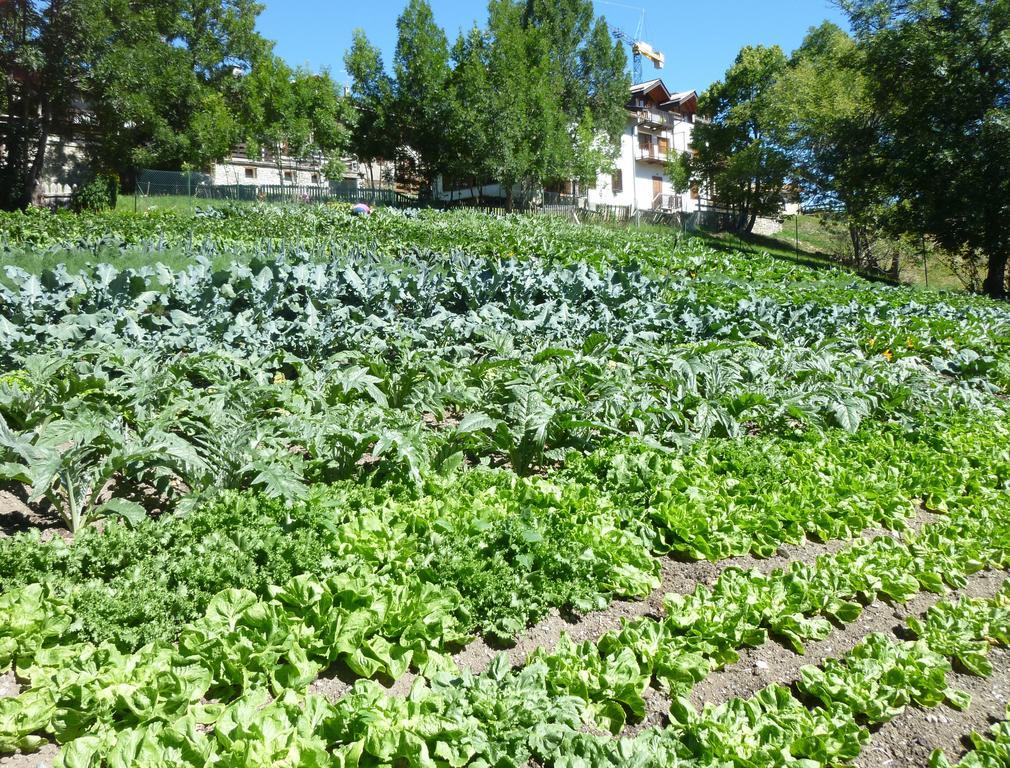 Agriturismo Barba Gust Cesana Torinese Luaran gambar