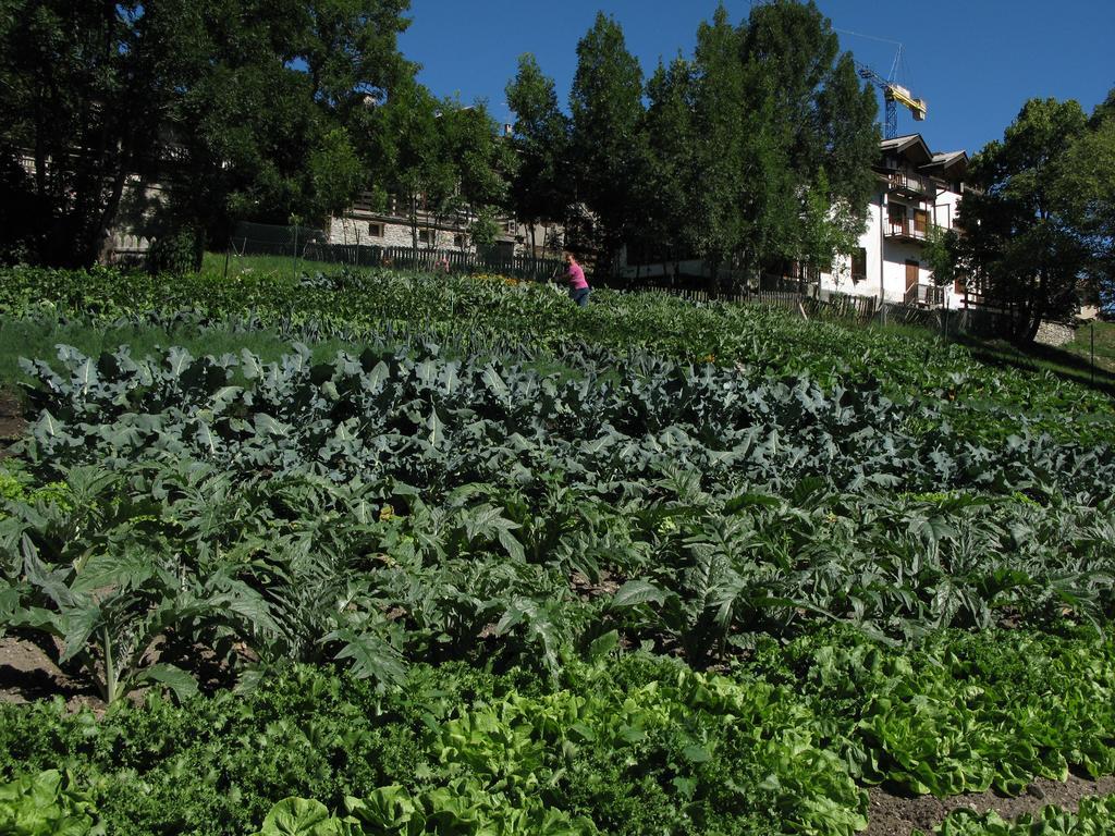 Agriturismo Barba Gust Cesana Torinese Luaran gambar