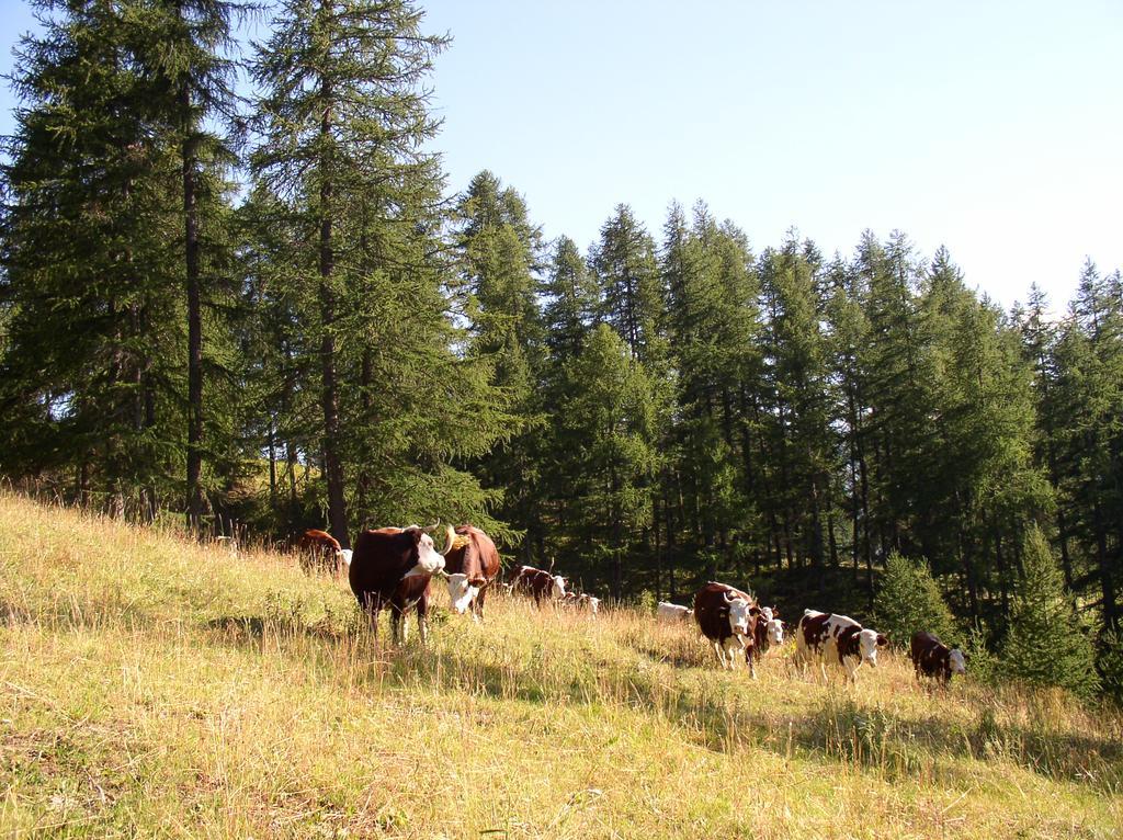Agriturismo Barba Gust Cesana Torinese Luaran gambar