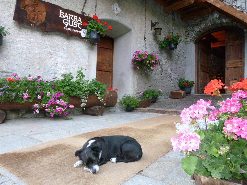 Agriturismo Barba Gust Cesana Torinese Luaran gambar