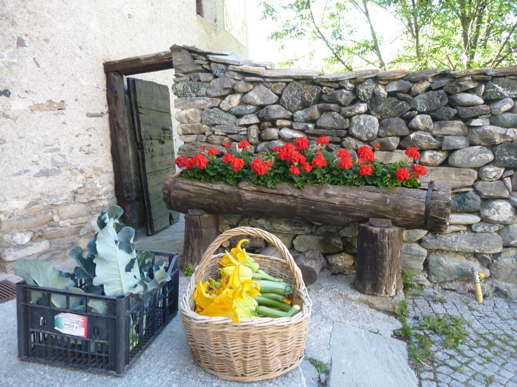 Agriturismo Barba Gust Cesana Torinese Luaran gambar