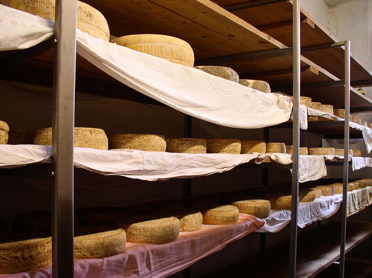 Agriturismo Barba Gust Cesana Torinese Luaran gambar